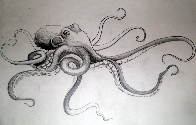 tako_octopus_by_dvampyrelestat