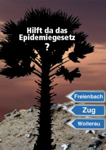 Risiko und Verantwortung?