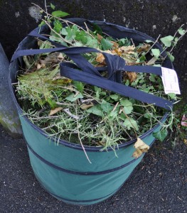 Grünzeug hat Abfuhr erlitten.