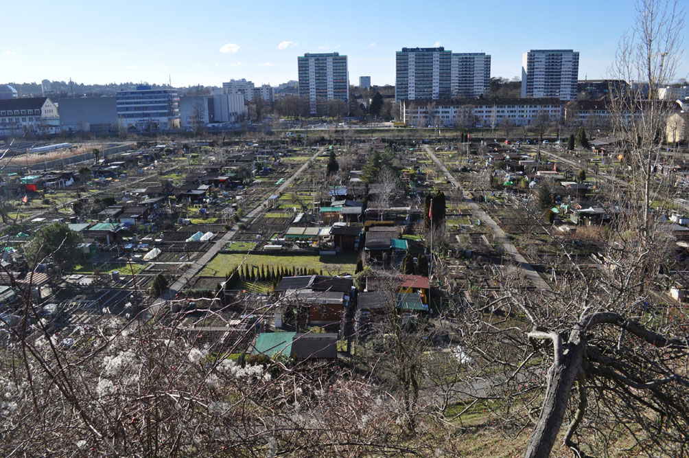 Blick von der Muttenzersttrasse gegen die Birs