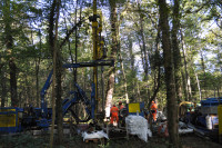 Hardwald: Bohren nach …