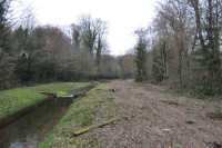 Hardwald: Kahlschlag? (1)