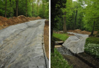 Hardwald: Kahlschlag (4)