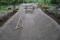 Hardwald: Kahlschlag (5)