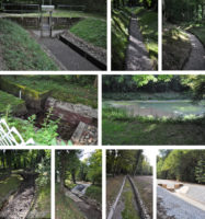 Kahlschlag (6): Das lange Warten