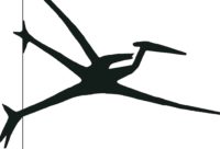 Nicht der Pfingstspatz, der Phoenix