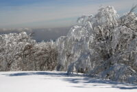Streifzüge in den Vogesen 5: Im Winter auf dem Hohneck