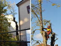 Lindengarten am Ziel