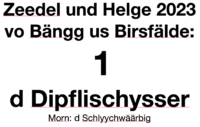Fasnacht 2023:   Dipflischysser
