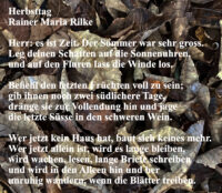 Die neue Wirklichkeit des Sommers