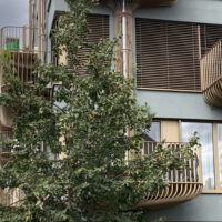 Kennsch dy Birsfälde? Nr. 23